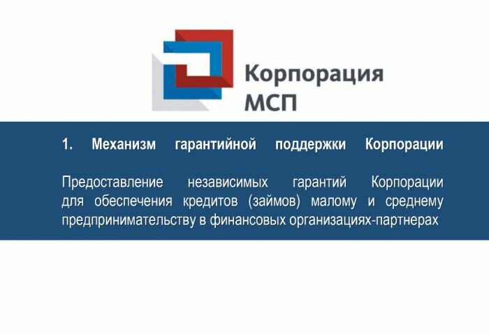 Финансовая поддержка субъектов МСП